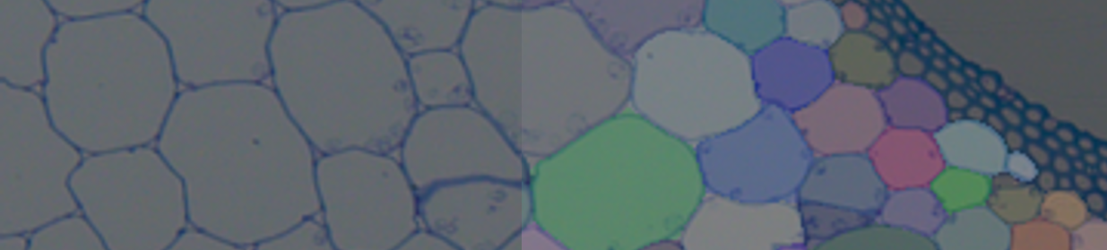 ../_images/cellpose_banner.png