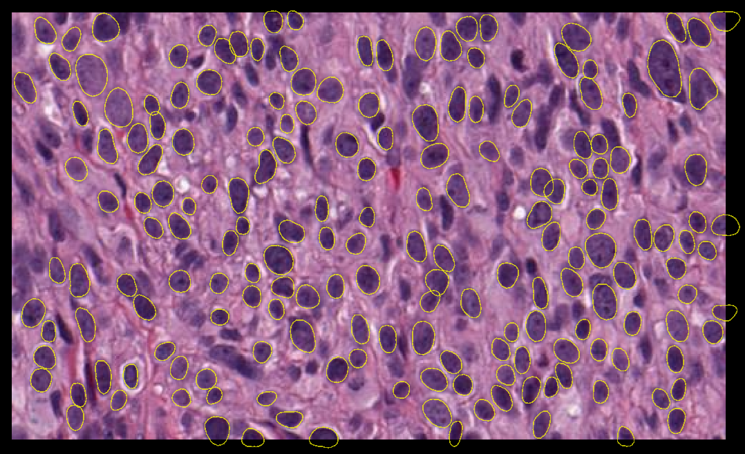 Cell 1