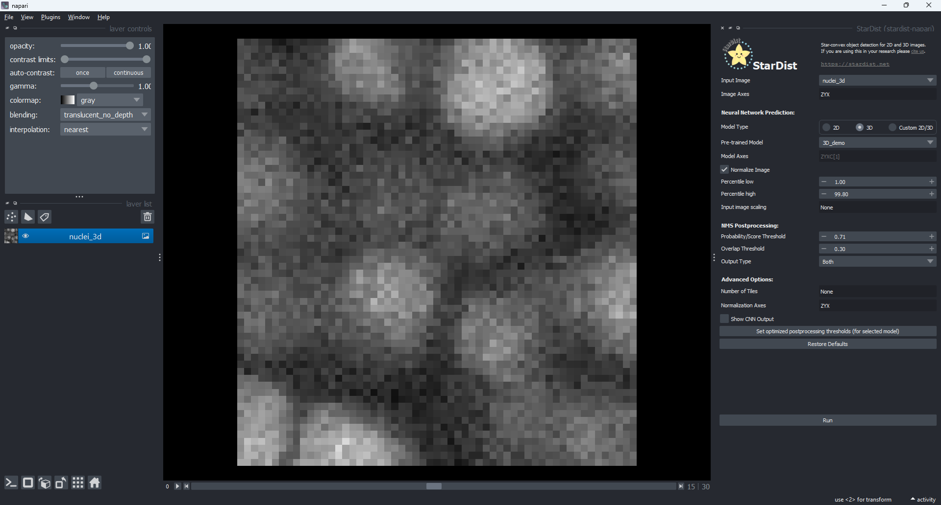 ../_images/napari-gui-stardist.png